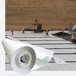 Geomembrane Geocomposite