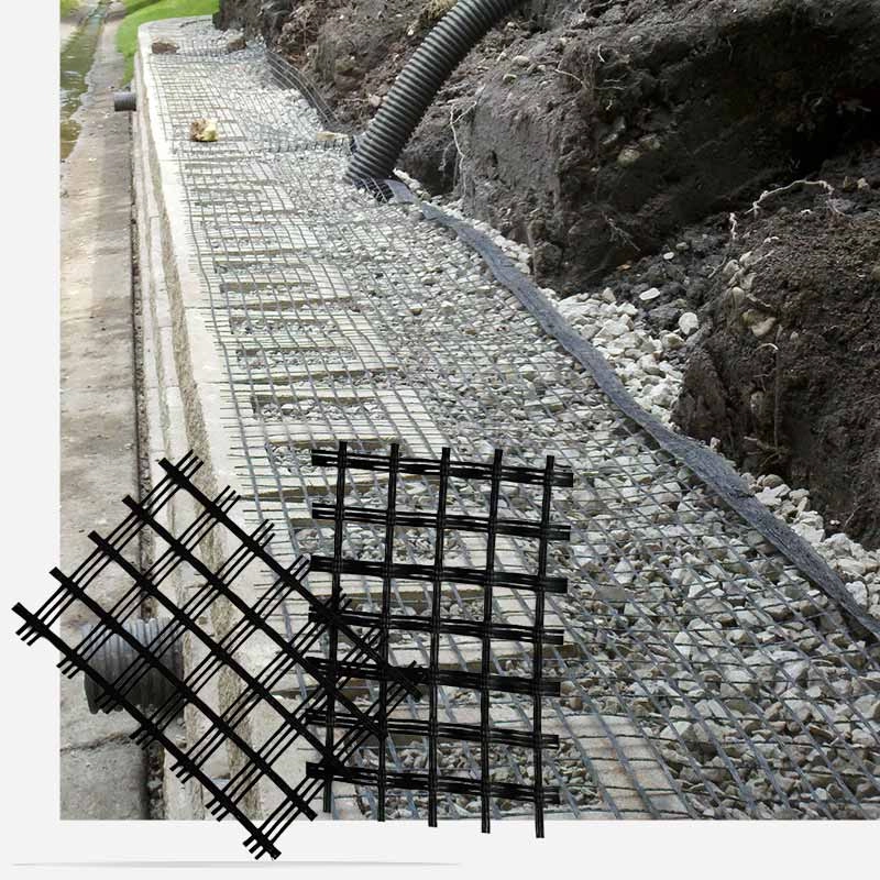 Geogrid